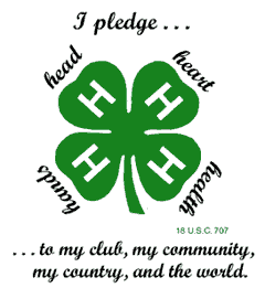 4-H pledge clover